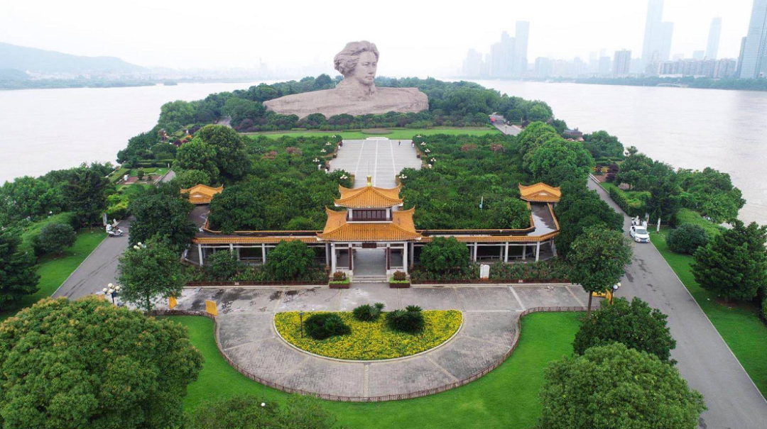 ϲձϲͶ˾Ŷָɳѧϰĵ